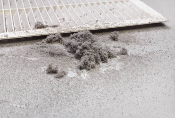 Best Air Duct Inspection  in Lakeside, MT